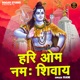 Hari Om Namah Shivay Single