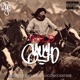 Wild Gaucho Single