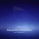 Panpipes Deep Ambient Sleep REM Instrumental Single