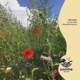 Fairytales Single