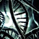 DNA Single