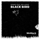 Black Bird Single