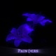 Painders Single