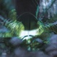 Wavelengths EP