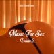 Music for Sex Vol 2