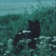 Days of Feelings Single