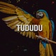 Tududu Single