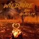 WildFire Single