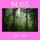 Bliss Single