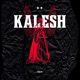 Kalesh Single