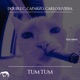 Tum Tum Single