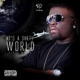 It s a Dirty World