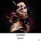 Bloom Single