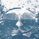 so goodbye feat Chukido Single