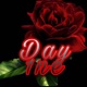 Day 1Ne Single