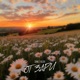 От Зари Single