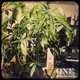 Small Time Crooks Single
