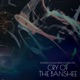Cry of the Banshee Single