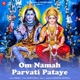 Om Namah Parvati Pataye Single