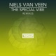 The Special Vibe Remixes