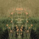 Samsara
