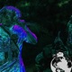 Nonsense Single