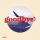 Goodbye Single
