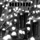 Hidin Single