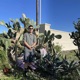 Flow del Nopal En La Session feat Flipper MX Single