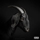 Baa Baa Black Goat Single