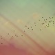 fly away Single