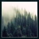 In the Forest EP