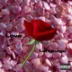 Love Language Single