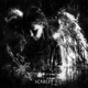 scarlet Single
