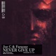 Never Give Up Single