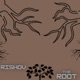 The Root Single