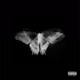 Butterfly Doors Single
