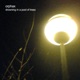Drowning in a Pool of Trees EP
