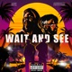 Wait and See Single