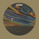 Animal Anthem Single
