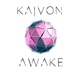 Awake Single