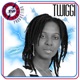Shocking Vibes Presents Twiggi
