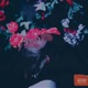 A Flower in the Pot