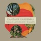 Danza de Gardenias Versión Acústica feat Rozalén Single