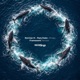 Whales Framewerk Remixes Single