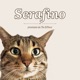 Serafino Single