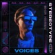 Voices feat Shir Koren Single