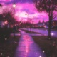 your best sunset Single