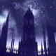 Black Rose Single