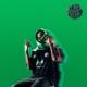 Drapeau Vert